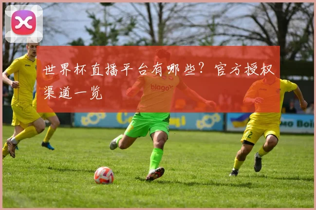 世界杯直播平台有哪些？官方授权渠道一览