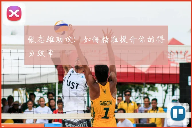 张志雄助攻:如何精准提升你的得分效率